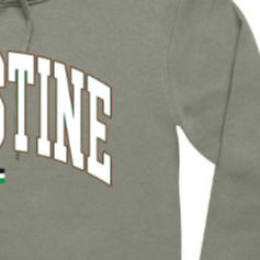 Palestine Typography Crew Grey/sage