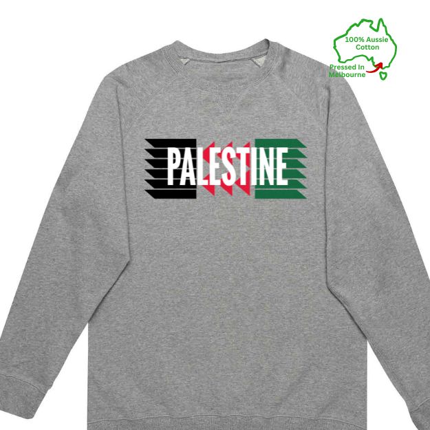 Flag, Palestine Hoodie